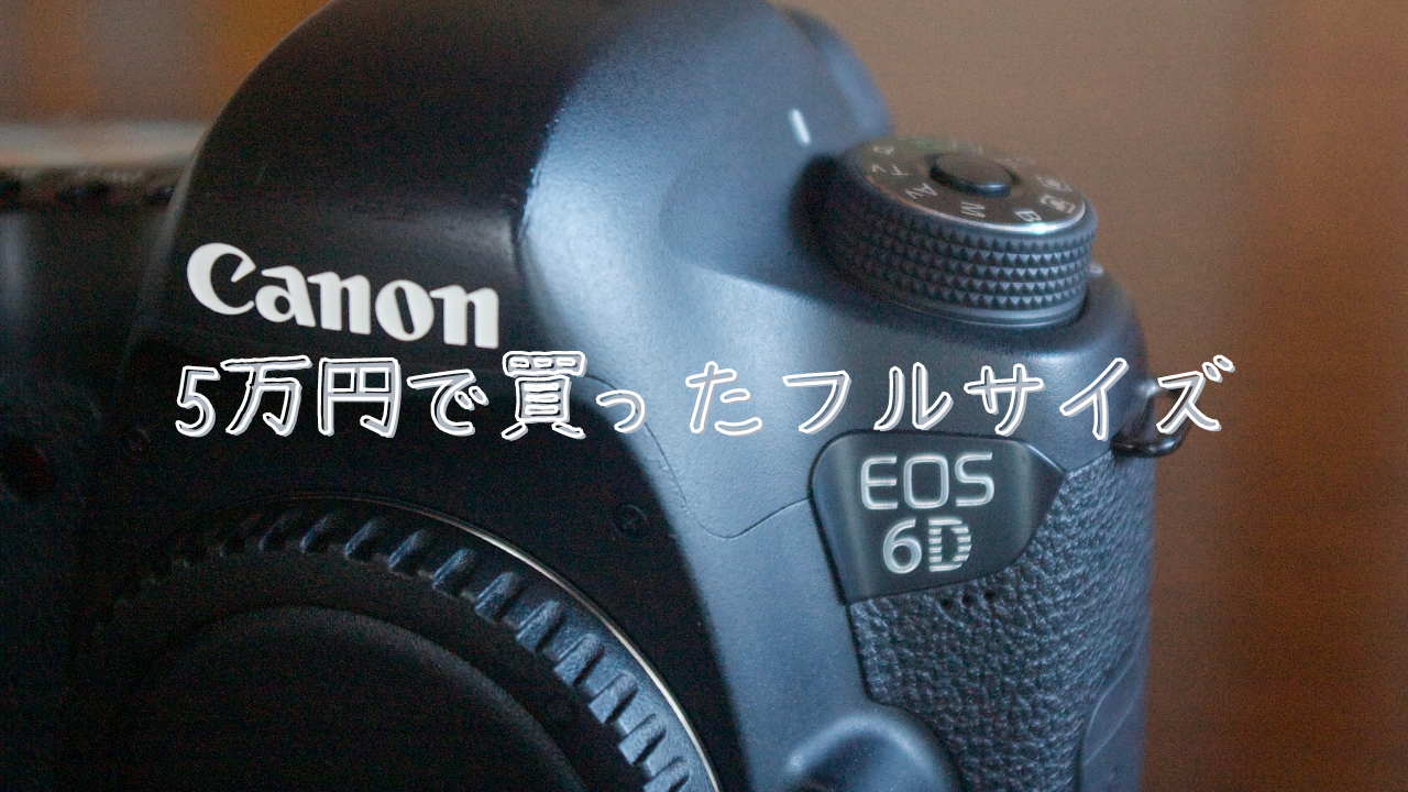 感想・レビュー)中古で買った安いフルサイズ一眼レフ【CANON 6D  